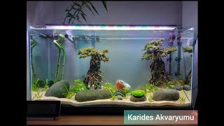 Karides (Red Crystal Shrimp) Akvaryumu Kurdum! (Tasarıma Ekleme Yaptım)