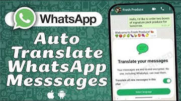 How to Translate WhatsApp Messages (Android & iPhone)