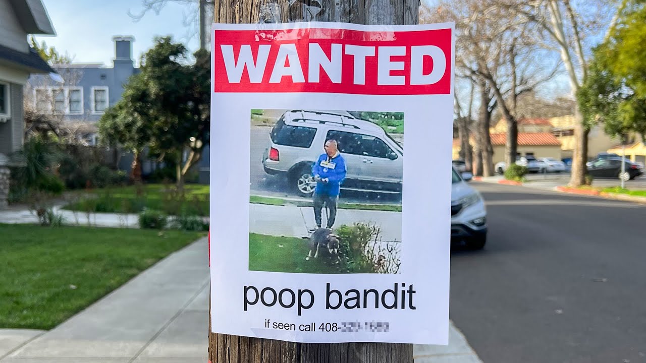 Hunting the Man Who Left Dog Poop in my Yard
