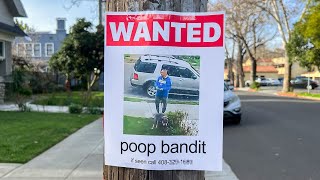 Hunting The Man Who Left Dog Poop In My Yard