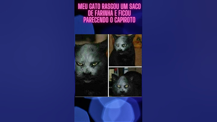 Gato rasgou saco de farinha e ficou parecendo um capiroto #Shorts
