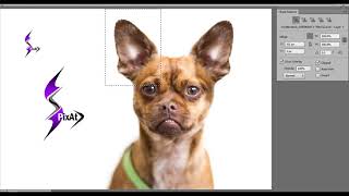 Use Clone Source Option &Stamp Tool