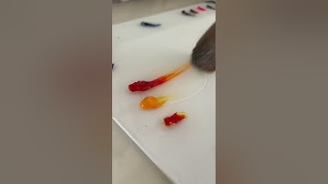 Answering FAQs about my painting process🌸🎨