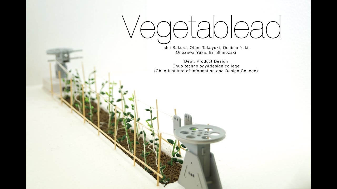 【動画】「Vegetablead」トマト誘引作業の負担を軽減するアイデア