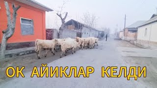 :    .