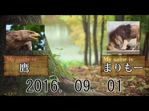 自分のペースを乱してくれる人への対処法
