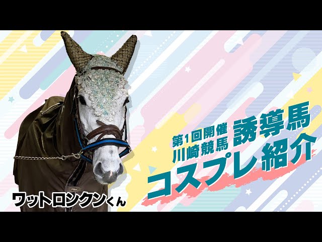 爆笑問題のウマでもわかる競馬基礎講座①　トレセンへ行くの巻　VHS 爆笑問題のウマでもわかる競馬基礎講座① トレセンへ行くの巻 VHS