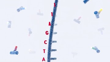 QIAGEN - NGS Platform (Full video)