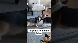 Playing Around the Table