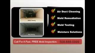 Mold Removal Barnstable - Mold Remediation - 508-888-0999