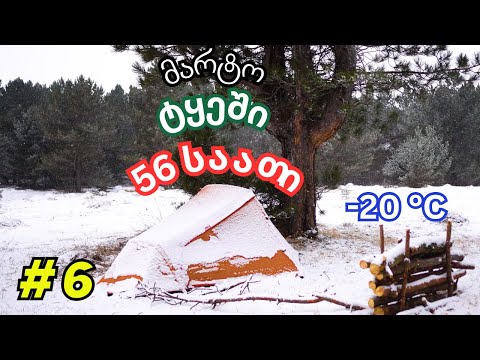 3 დღე მარტო ტყეში