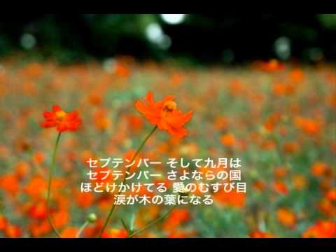 セプテンバー ( 竹内まりや ) cover / にゃんぱ