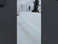 360s on Park jumps, and a rail line #atomic #ski #factions @SalomonTV #shorts #fun #urban #boys
