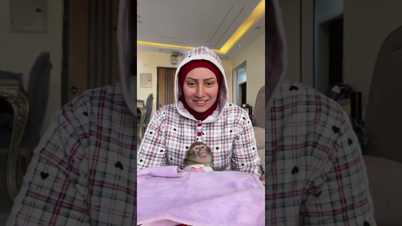 ام دونا مسافره يومين