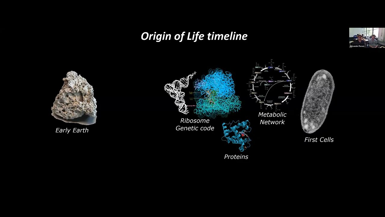 Build-a-Cell seminar Braun and Floroni: Defining and feeding synthetic cell with a thermal gradient