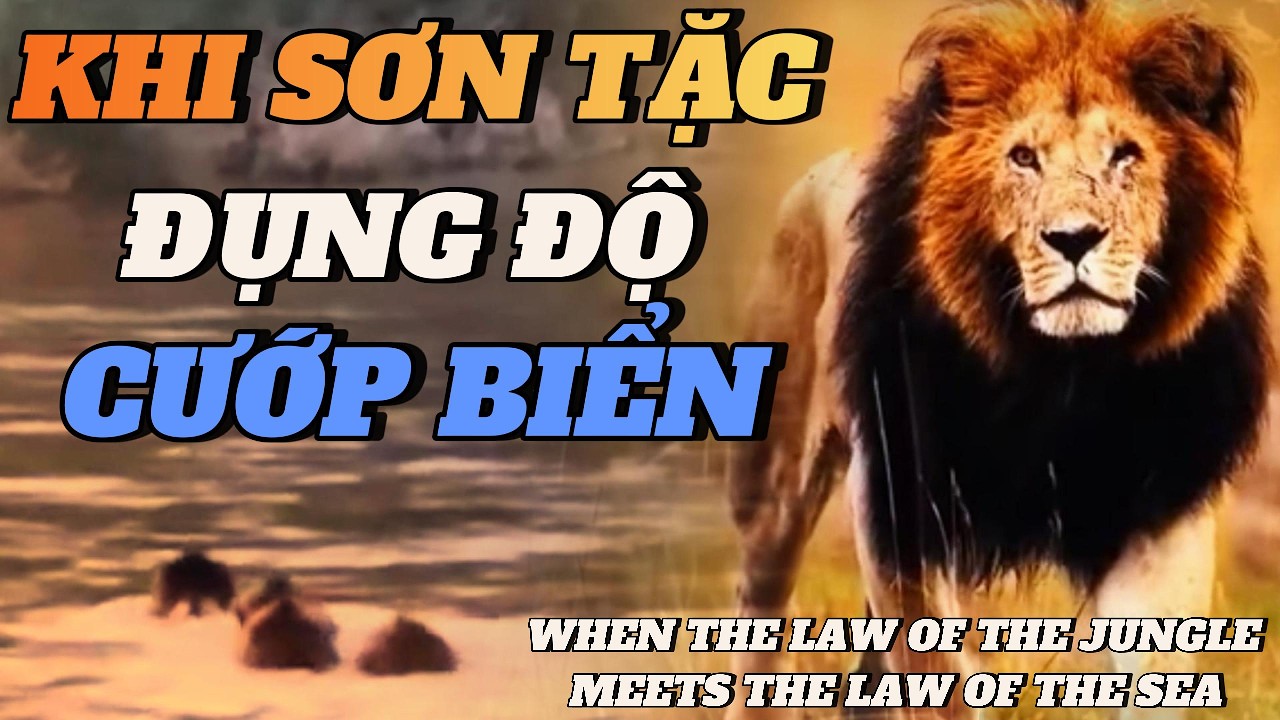 CUỘC ĐỐI ĐẦU 6 LIÊN MINH - KHI LUẬT RỪNG GẶP LUẬT BIỂN T8