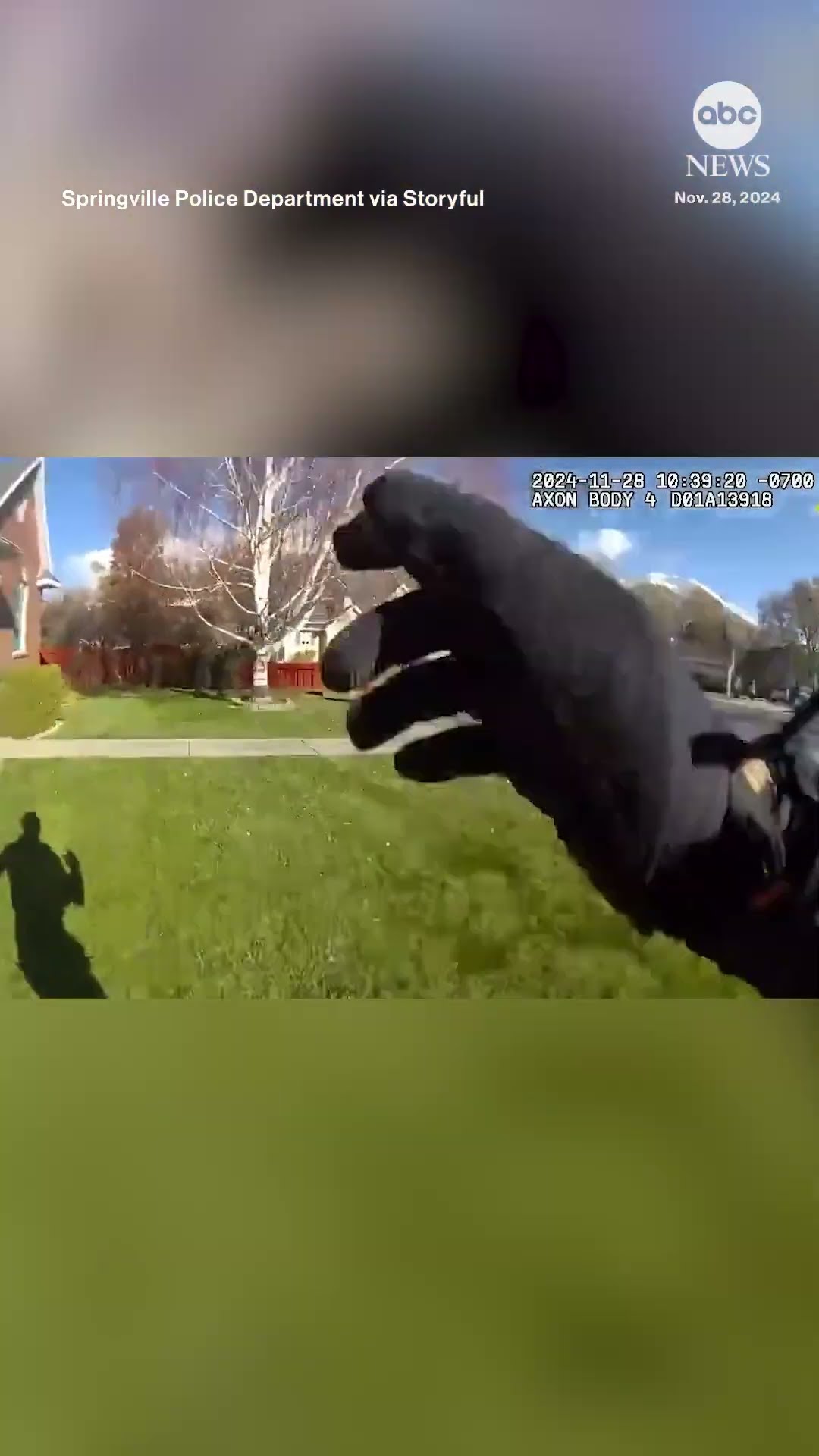 Police chase runaway pig in Utah neighborhood
