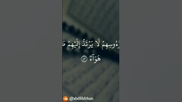 الحمد لله على نعمة القرآن الكريم 🤲🤲أكتب إذا أرتم التجويد من القارئ إسلام صبحي
