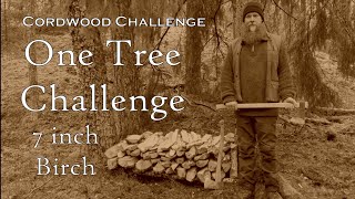 One Tree Challenge: 7 inch Birch. Cordwood Challenge entry. How to cut firewood with axes.