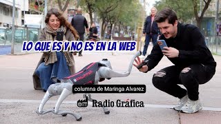 Lo que es y no es en la web
