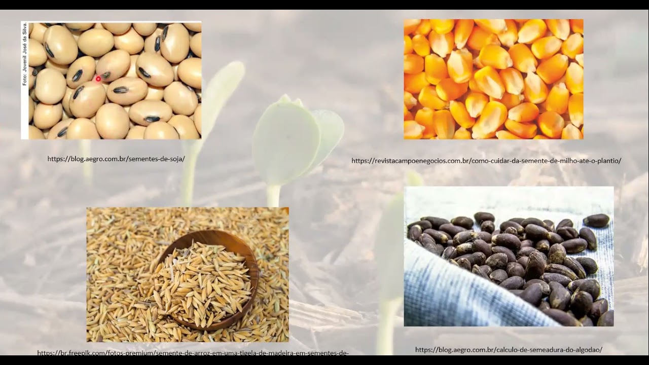 VIDEO AULA PRÁTICA 01   ANALISE DE PUREZA