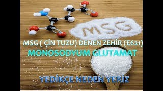 MSG- MONOSODYUM GLUTAMAT/YEDİKÇE NEDEN YİYORSUNUZ ?/ÇİN TUZU/#katkımaddeleri