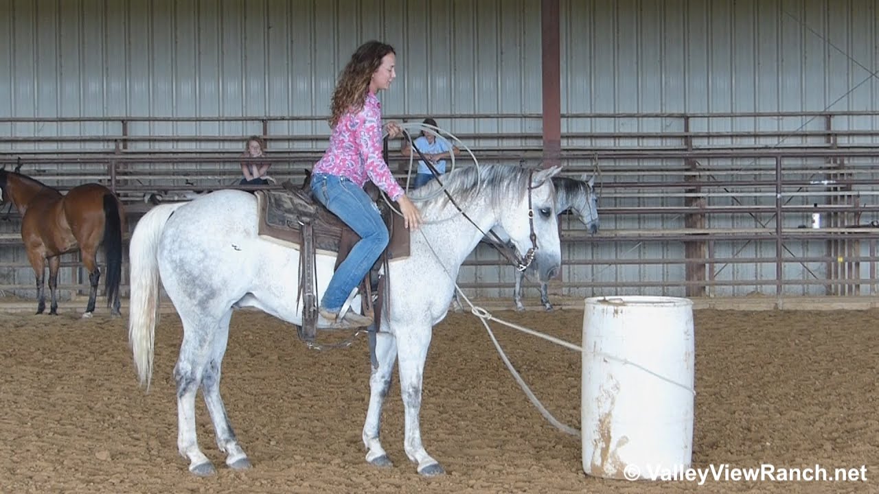HBD Blues CD - roping - Valley View Ranch