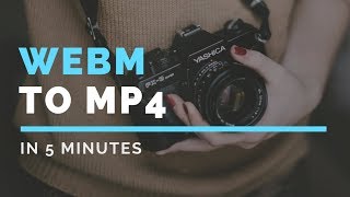 how to convert webm to mp4 offline