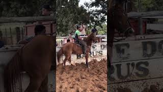 Cavalo tem a cor linda #bolaodevaquejada #yotubeshorts #viraliza #roça