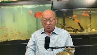 粮食缺口三部曲：全民种田-逃荒-偷渡！（20200920第1487期）