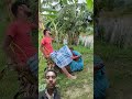 #timelapse😍😂start to finish alone build log cabin(wooden house),how to build wooden cabin surviva