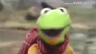 Kermit fucking dies