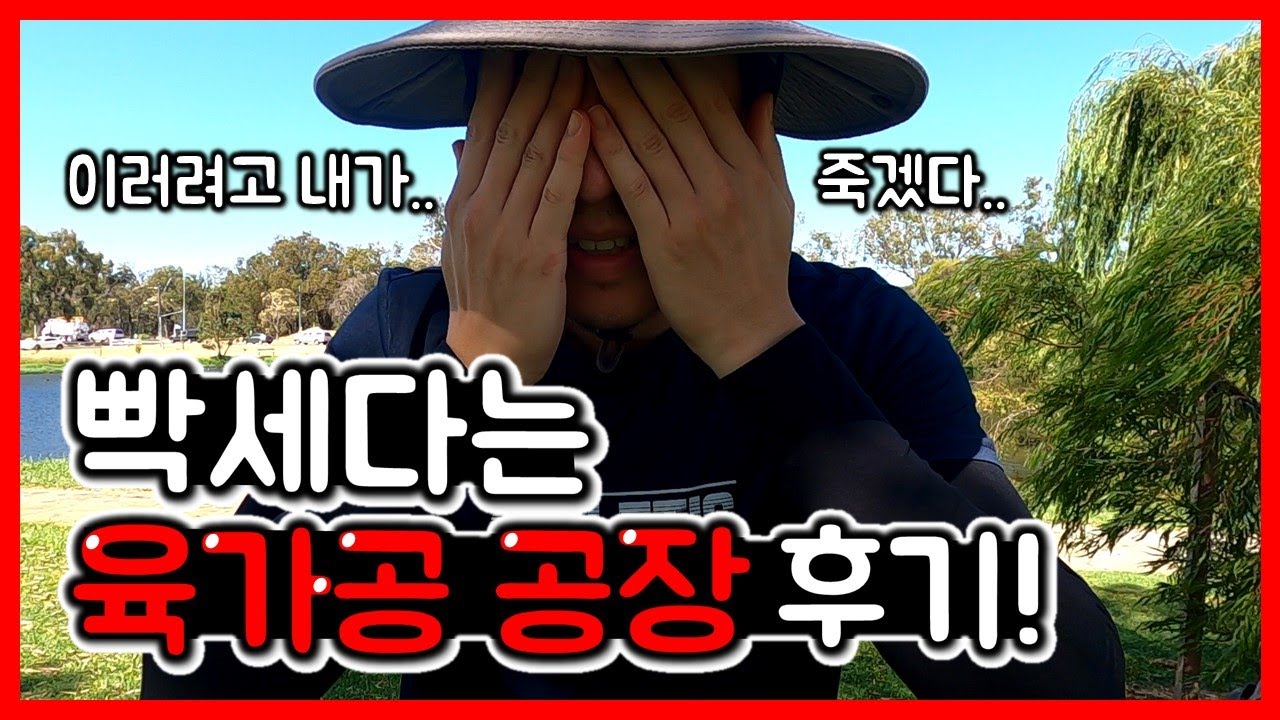 호주 워킹홀리데이 세컨비자 따는 경험담(고기공장..) - 호주 워홀(6)