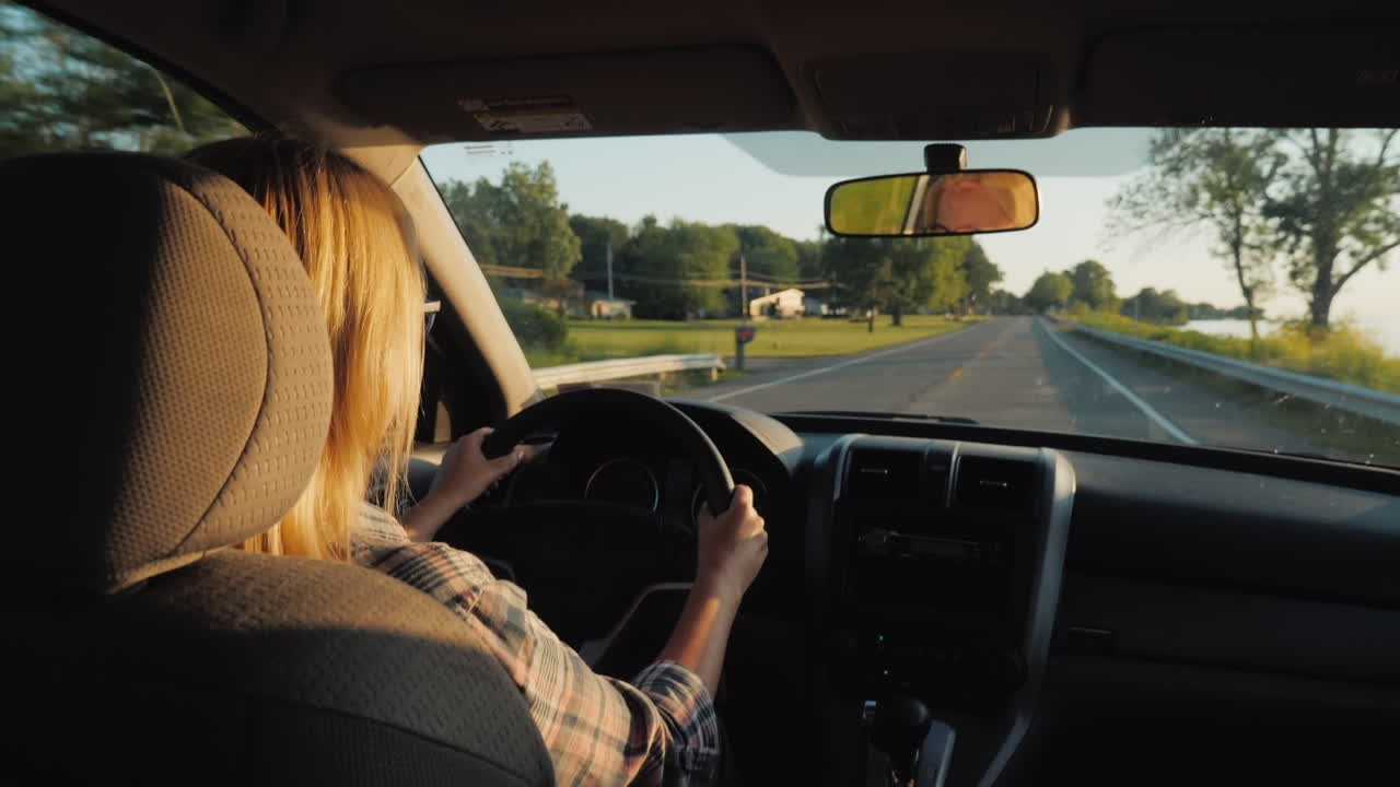 Driving through amazing Dutch nature TO Genemuiden