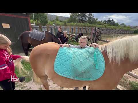Video: Kolotoč s lietajúcimi koňmi na Martha's Vineyard
