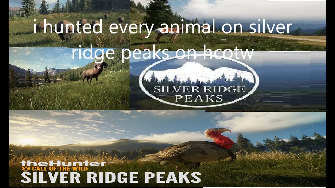 i hunted every animal on silver ridge peaks. 
