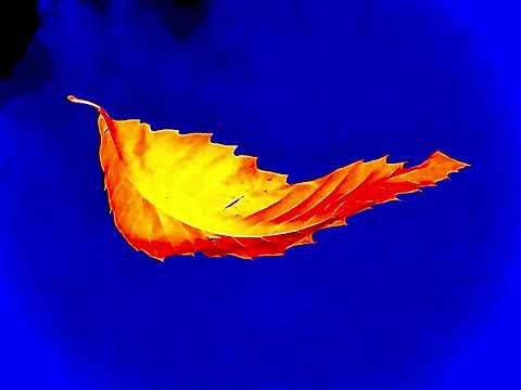 True Faith (2015 Remaster)