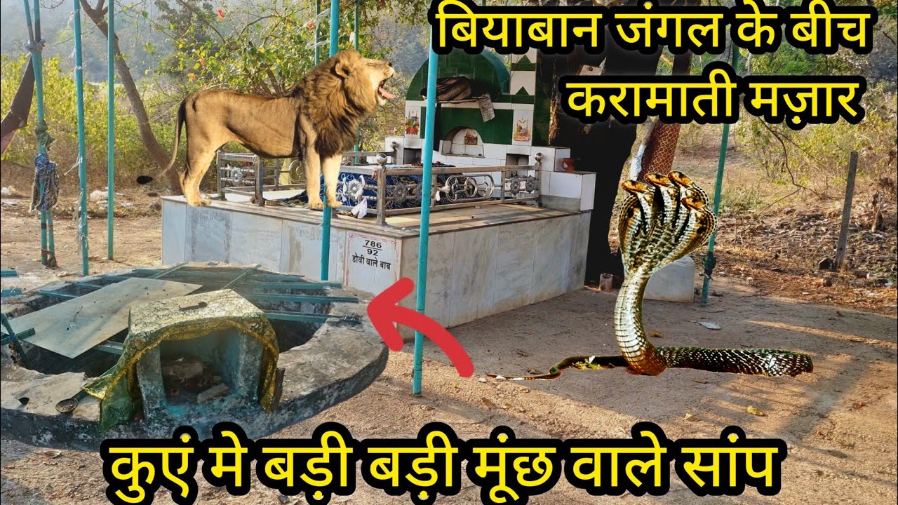 इस दरगाह मे हो रही आज भी ज़िंदा करामात क़िस्मत वालो को मिलती है ज़ियारत कुआं मे लंबी मूंछ वाले सांप 