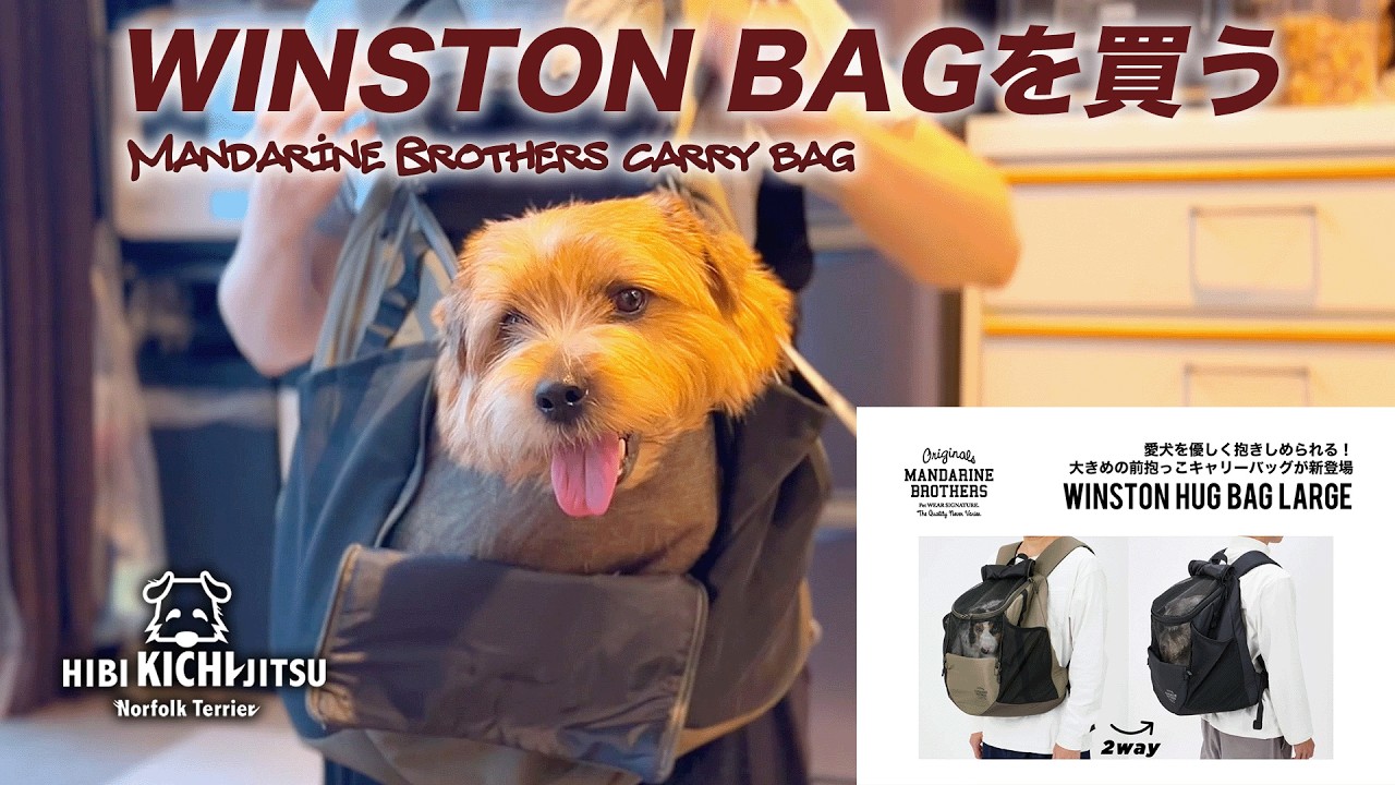 Buying a Mandarin Brothers WINSTON HUG BAG for my dog Kichi #dog