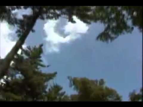 Силвия Кацарова Топъл дъжд 