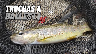 Pesca de truchas a cucharilla en regato gallego | Galicia 2023