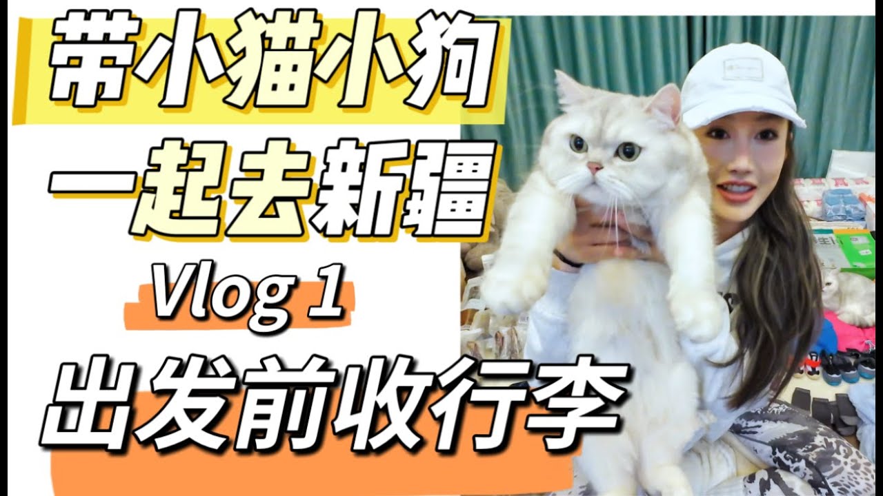 带小猫小狗一起去新疆 第1集 出发前收行李 两狗一猫一人旅居新疆两个月 看看都要带什么行李吧