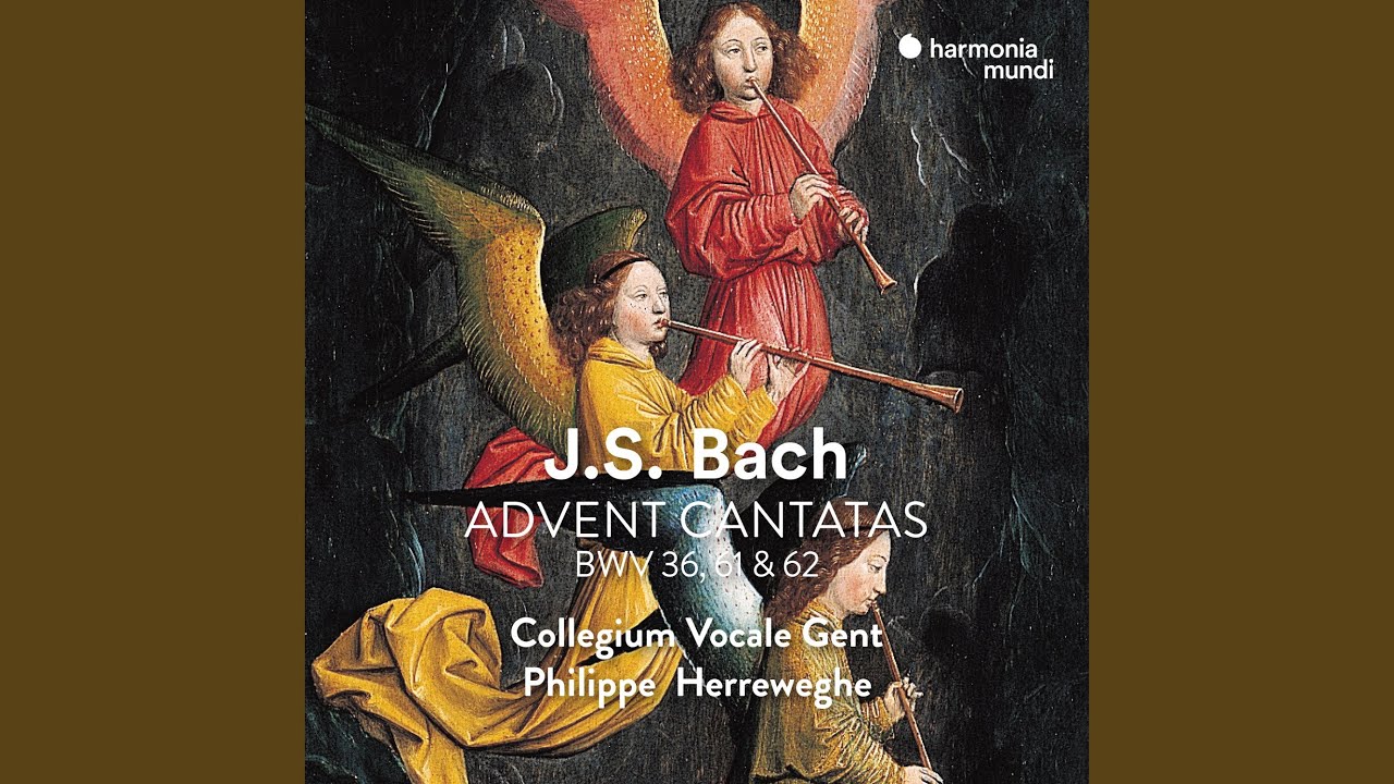 Schwingt freudig euch empor, BWV 36: III. Aria 