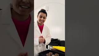 Starting seeds in the agrovoltaic agrotunnel