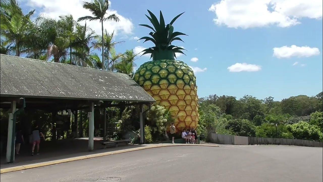 Big Pineapple. Sunshine Coast, Queensland. YouTube