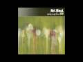 AH audio - Red Roses - Spring 52