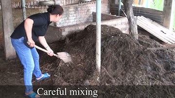 Trichoderma to accelerate the production of good organic compost environment vietnam agriculture