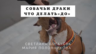 Эфир про собачьи драки.Часть 2.