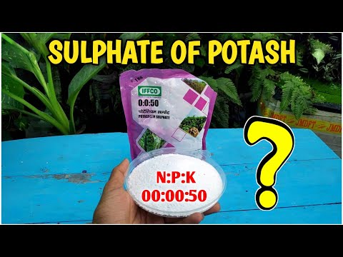 Video: Potassium sulfate: siv thiab txiaj ntsig