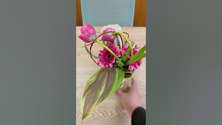 チューリップはこうやって飾るとめちゃくちゃ可愛いね❤️チューリップの花束